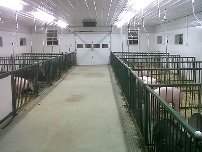 Dairy, Hog & Poultry Farms 