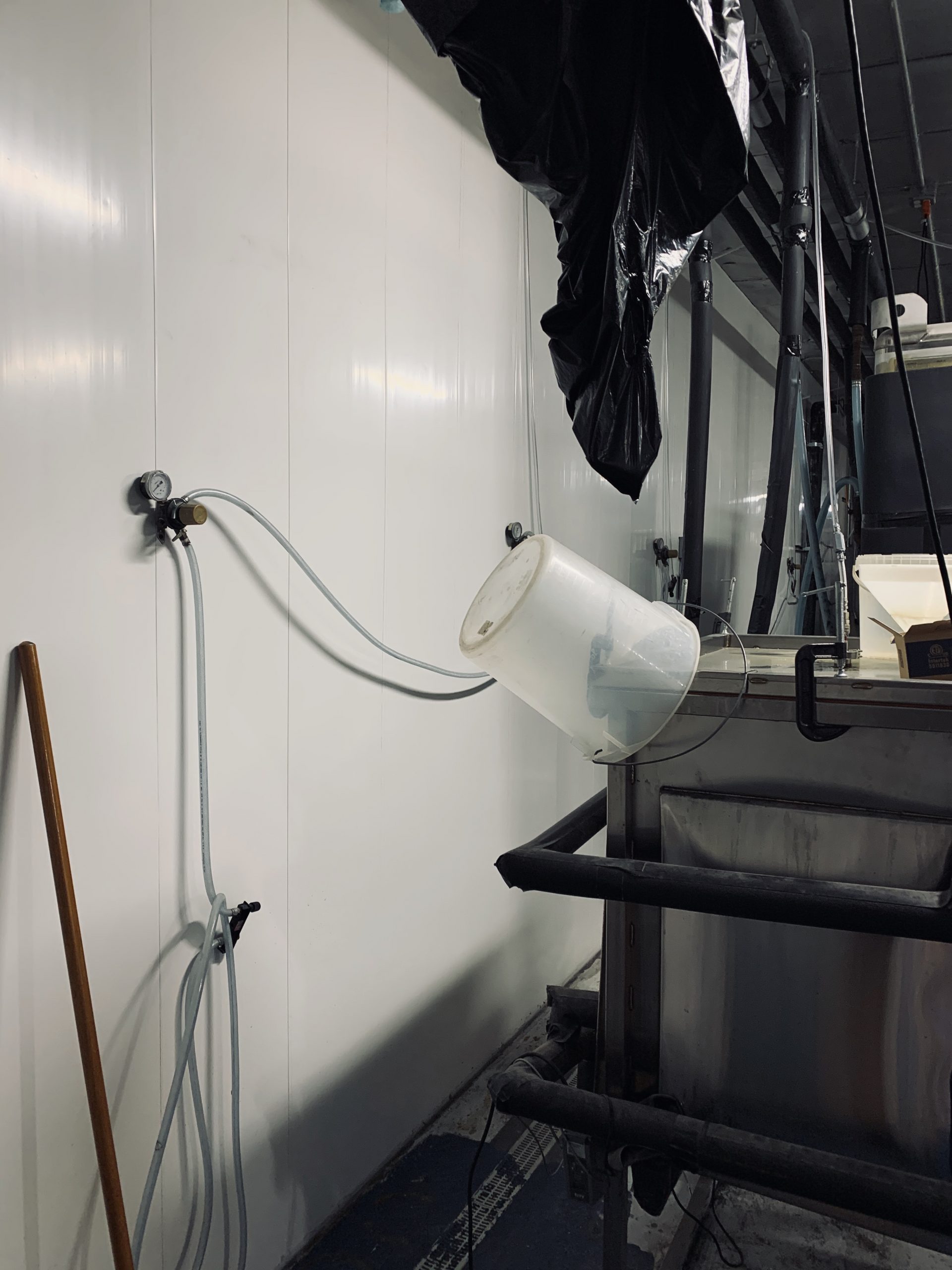Breweries 